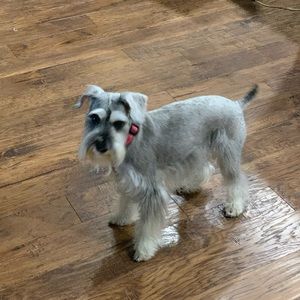 Meet your Posher, Alberto